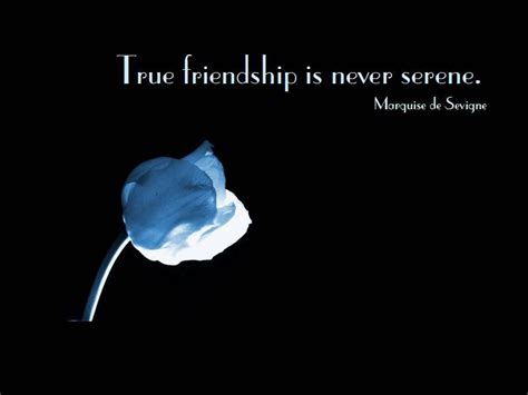 Melformer: Famous Friendship Quotes