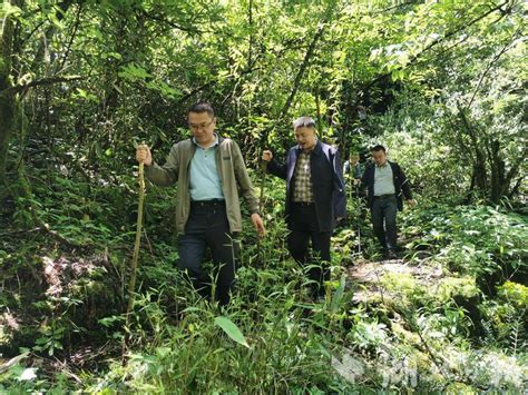 湖北文旅集团调研组一行来咸调研 湖北日报新闻客户端