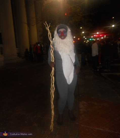 Lion King Rafiki Costume - Photo 2/3