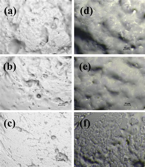 Microscopic Fiber Gel