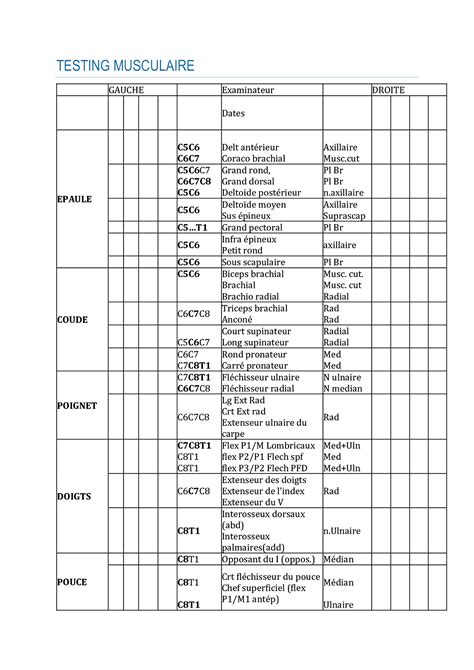 Testing Musculaire