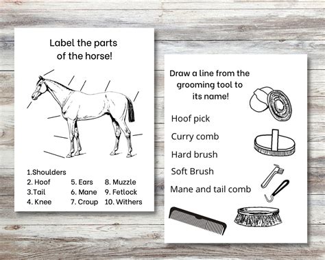 Printable Horse Camp Coloring&activity Booklet for Kids, Camp Activity, Coloring Book, Digital ...