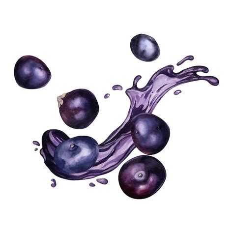 Premium Vector Acai Berries On Juice Splash Watercolor Illustration