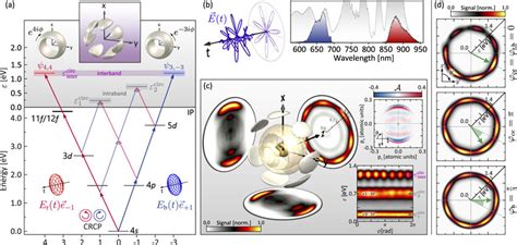 Intraband And Interband Interference In The Mpi Of Potassium Atoms With