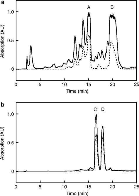 Hplc Purification Chromatograms Of Oligonucleotides Coupled To Dabcyl Download Scientific