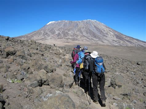 Kilimanjaro Trekking Chaka Tours