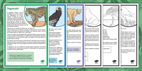 Hoja Informativa Fauna Argentina Teacher Made Twinkl