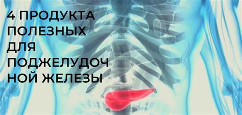 4 продукта полезных для поджелудочной железы – Советы – Все для людей