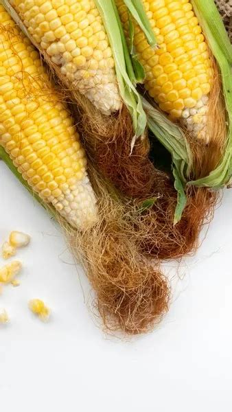 Siapa Sangka Ternyata Rambut Jagung Memiliki Manfaat Yang Bagus Untuk Tubuh