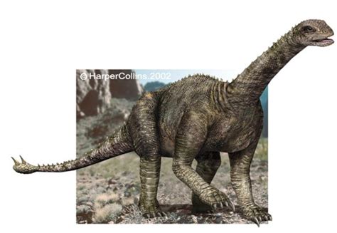 Shunosaurus Pictures & Facts - The Dinosaur Database