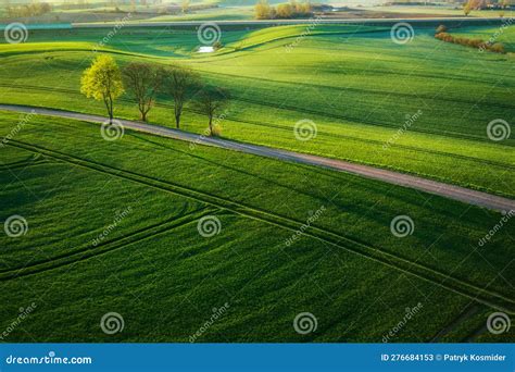 Aerial Landscape Of The Green Fields In Northern Poland At Spring Time