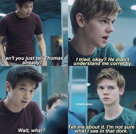 Pin By Axle On Maze Runner In Maze Runner Funny Maze Runner