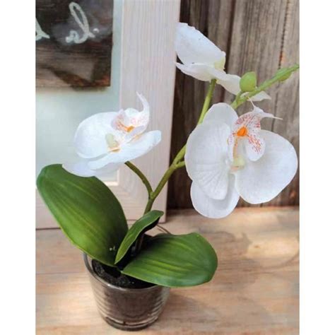 Artplants De Orchid E Phalaenopsis Artificielle Xalia En Verre Blanc