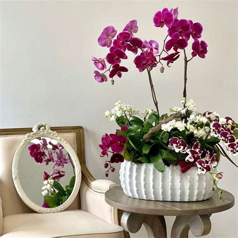 Purple Orchids Wonderland - Black Petals Flowers Shop Dubai