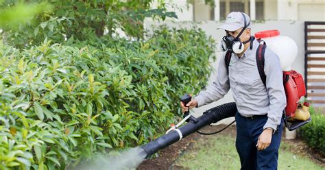 Mosquito Misting Control Systems Vs Manual Mosquito Control