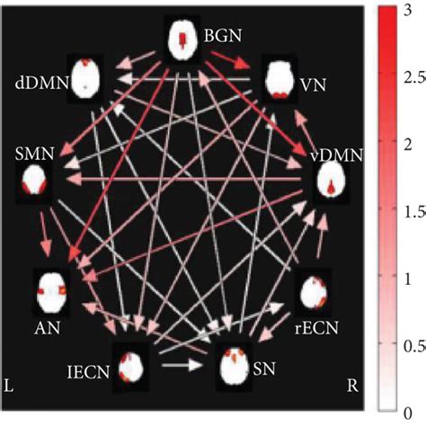 Images Show Group Fnc Of Rsn Obtained By Using The One Sample T Test In