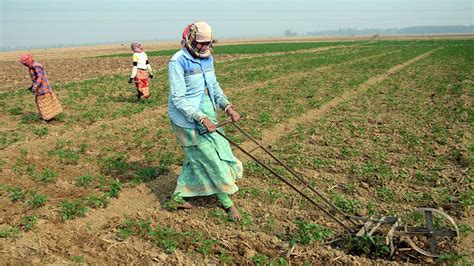 Securing Land Rights For Female Farmers In India