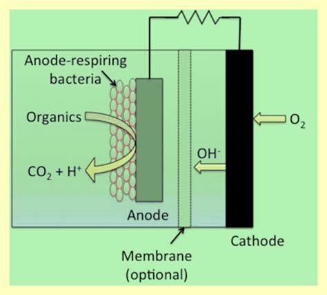 Filemicrobial Fuel Cell Microbewiki