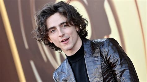 Ο Timothee Chalamet λέει ότι το Spider Man 2 είναι το παιχνίδι της