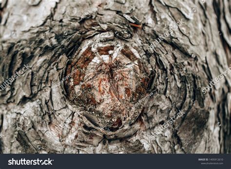 Bumhole Stock Photos Images And Photography Shutterstock