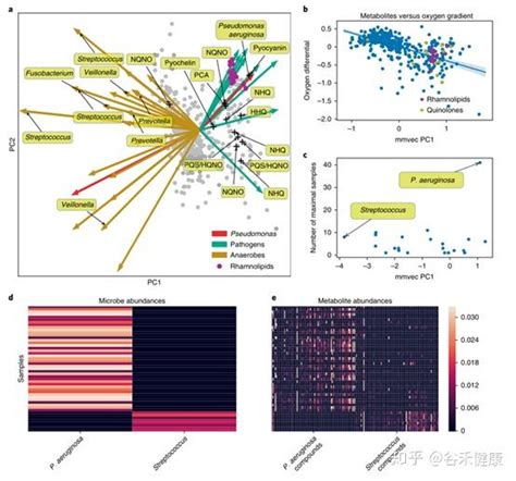 可用于分析微生物与代谢产物之间相互作用的人工神经网络 知乎