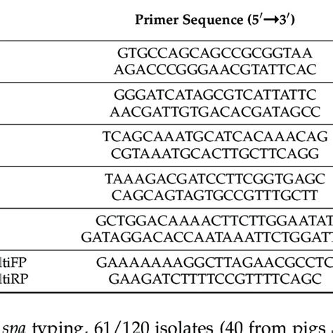 Pcr Assays Used For Mrsa Characterization Download Scientific Diagram