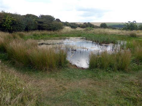 Lullington Heath National Nature Reserve Paul F 36 Flickr