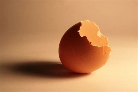 Cracked Eggshell