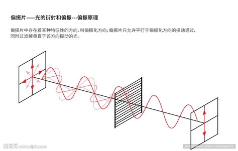 偏振原理偏振片光衍射设计图__学习用品_生活百科_设计图库_昵图网