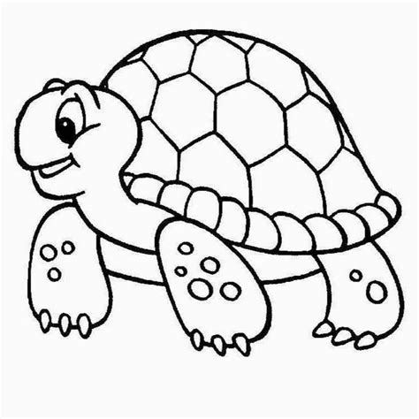 19 Tortuga Para Colorear Pritpalleon