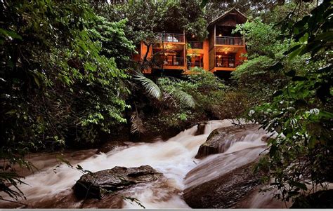 The Next Time You Travel Check Out These Gorgeous Tree House Resorts