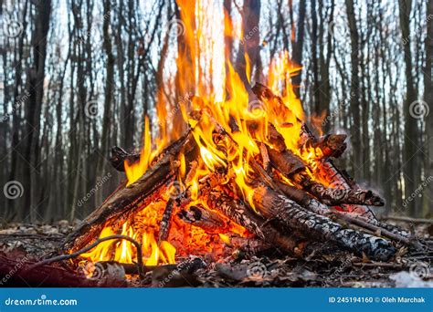 Campfire In The Spring Forest Rest On The Weekend Stock Photo Image