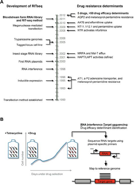 Developments In T Brucei Molecular Genetics And Advances In The