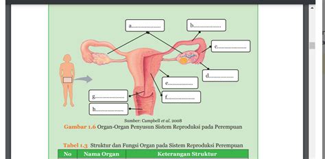 Soal Biologi Kelas 9 Sistem Reproduksi Soal Pilihan Essay Sistem Reproduksi Manusia Smp Kls 9