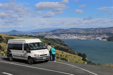 Larnach Castle Tour Wildlife Cruise Dunedin Shore Excursion