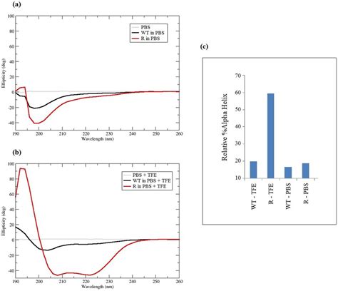 Circular Dichroism Spectra Of Peptides A Cd Spectra Of Wt And R At