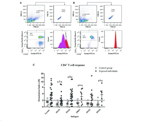 Gating Strategy For The Proliferation Assays And Pbmc Proliferative