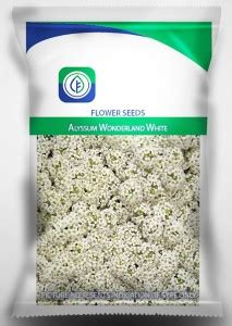 Cybexis Alyssum Royal Carpet Seed Price In India Buy Cybexis Alyssum