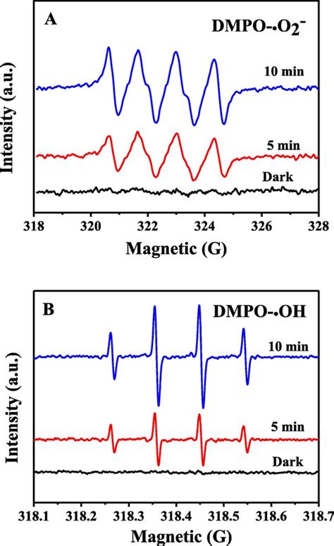 Dmpo Spin Trapping Esr Spectra Of A O And B Oh In The Dark And