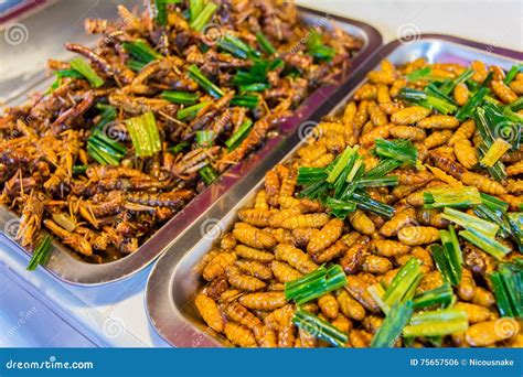 Fried insects food stock photo. Image of protein, brown - 75657506