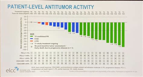 Elcc 2023 Safety And Efficacy Of Tusamitamab Ravtansine In Combination