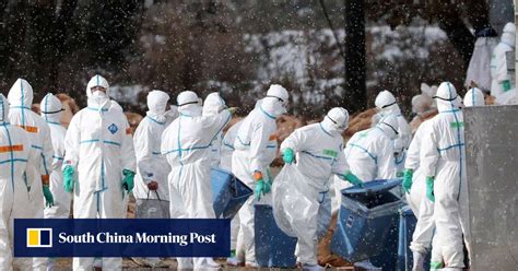 China Confirms Third Case Of Human Bird Flu In A Week South China