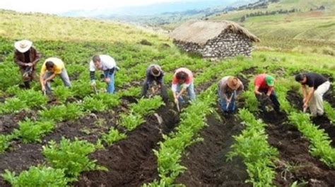 Cosas Que No Sab As De La Vida En El Campo