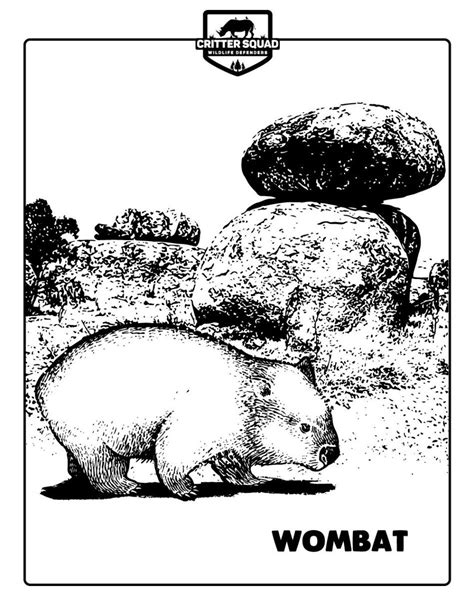 Wombat Coloring Page Cswd Coloring Pages Free Coloring Pages