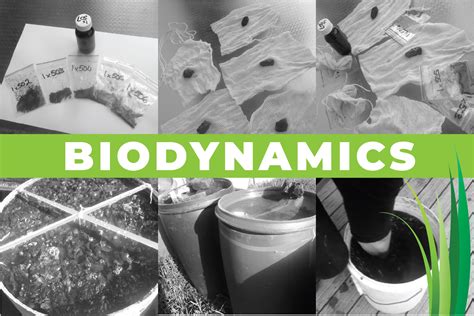 Biodynamics Image Organic Dairy Pastoral Group