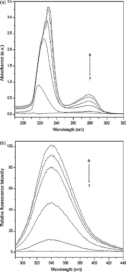 A Uv Vis Absorption B Fluorescence Spectra Of Bsa 15 × 10 −5 M Download Scientific