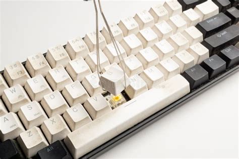 Mechanical Keyboard Maintenance Using Key Cap Puller Stock Image - Image of dirty, mechanical ...