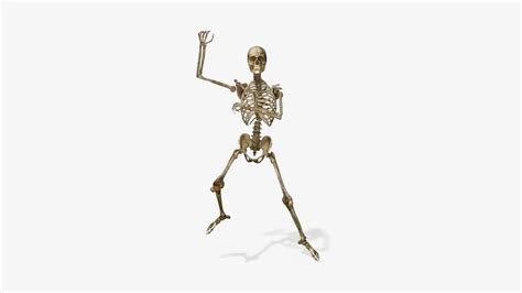 Skeleton Dance Gatna Style Loopanimationtransparent Background