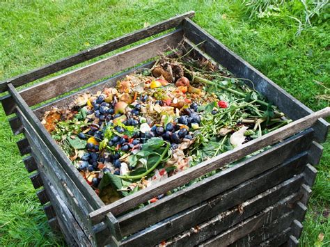 Ce Quil Faut Mettre Dans Son Compost So Healthy