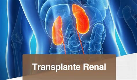 Cartaz Transplante Renal Copia CBC